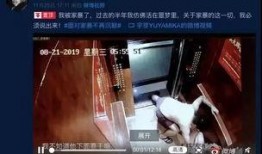 网友爆料家暴视频大全,揭示家庭暴力残酷现实